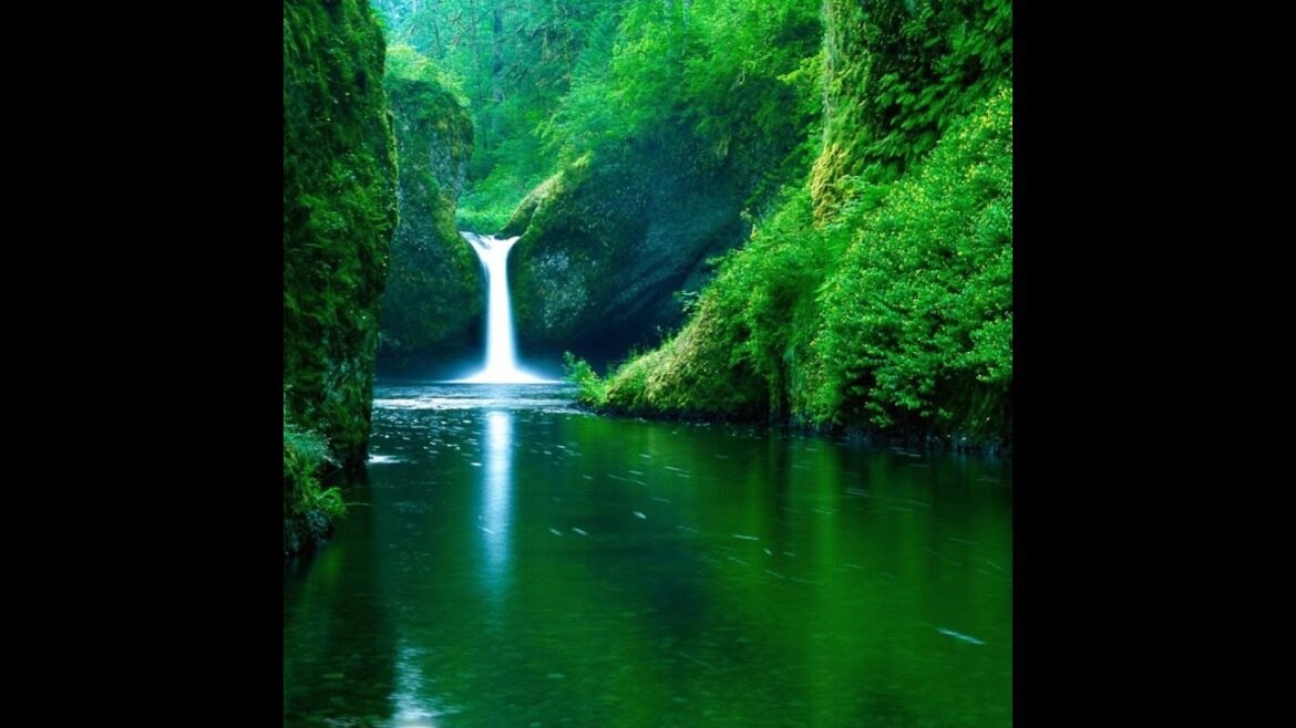 【LIVE】東京　奥多摩駅　ライブカメラ/tokyo okutama-station Live Camera　左下緑のボタンをクリックすると他のLive配信投稿してます。